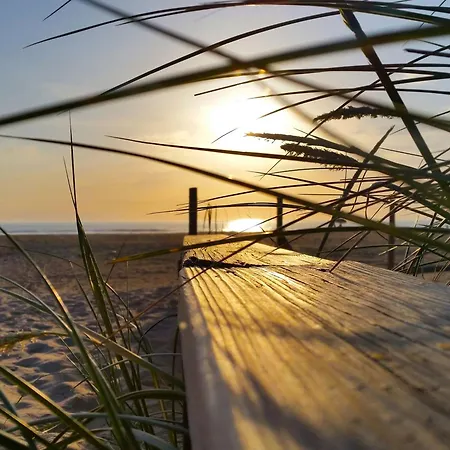 Agoodplan Dehesa De Апартаменты