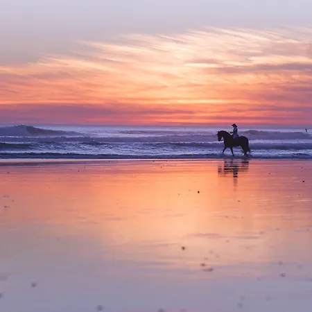 Agoodplan Dehesa De Apartman *