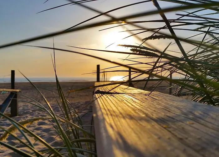 Agoodplan Dehesa De Apartment