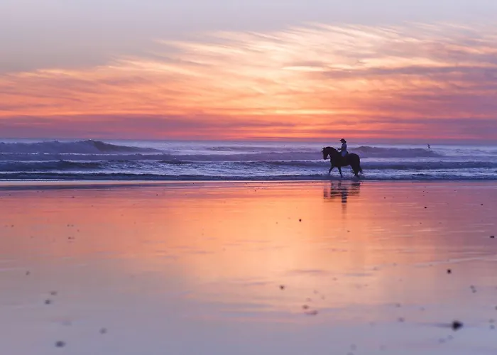 Agoodplan Dehesa De Apartment *